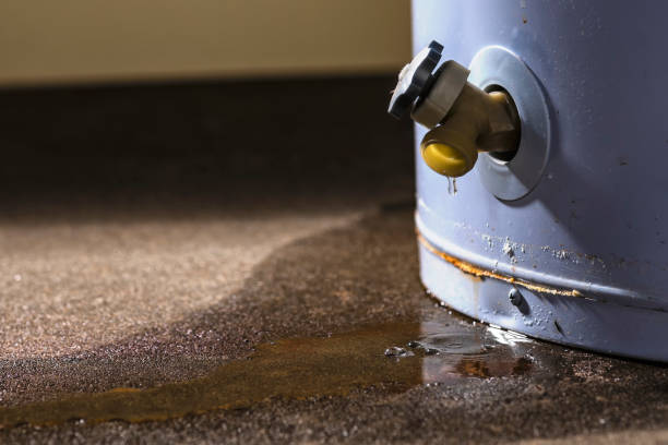  Lake Stevens, WA Water damage restoration Pros