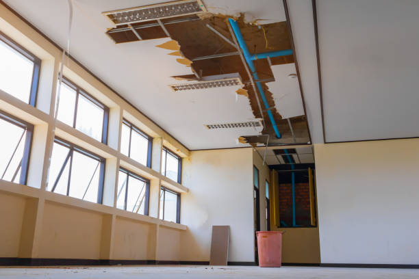 Trusted Lake Stevens, WA Water damage restoration Experts
