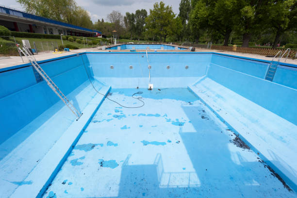 Best Water damage mitigation services  in Lake Stevens, WA