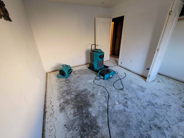 Best Flood damage cleanup  in Lake Stevens, WA