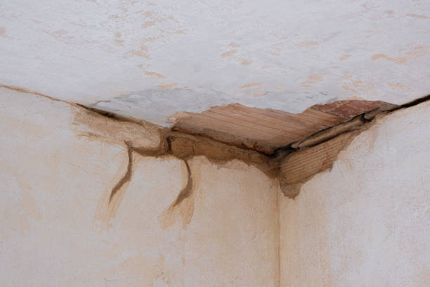 Water damage restoration insurance claims