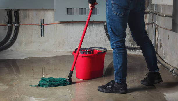 Best Water damage restoration near me  in Lake Stevens, WA