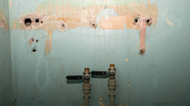 Best Carpet water damage restoration  in Lake Stevens, WA