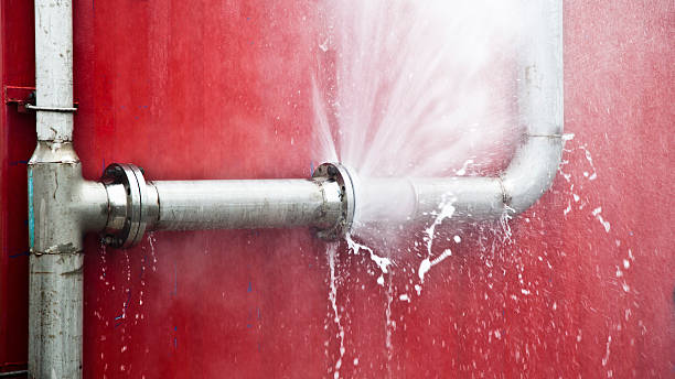 Best Water damage cleanup near me  in Lake Stevens, WA