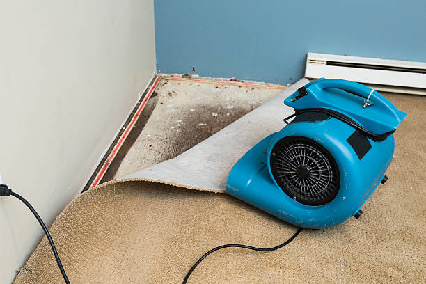Best Ceiling water damage repair  in Lake Stevens, WA